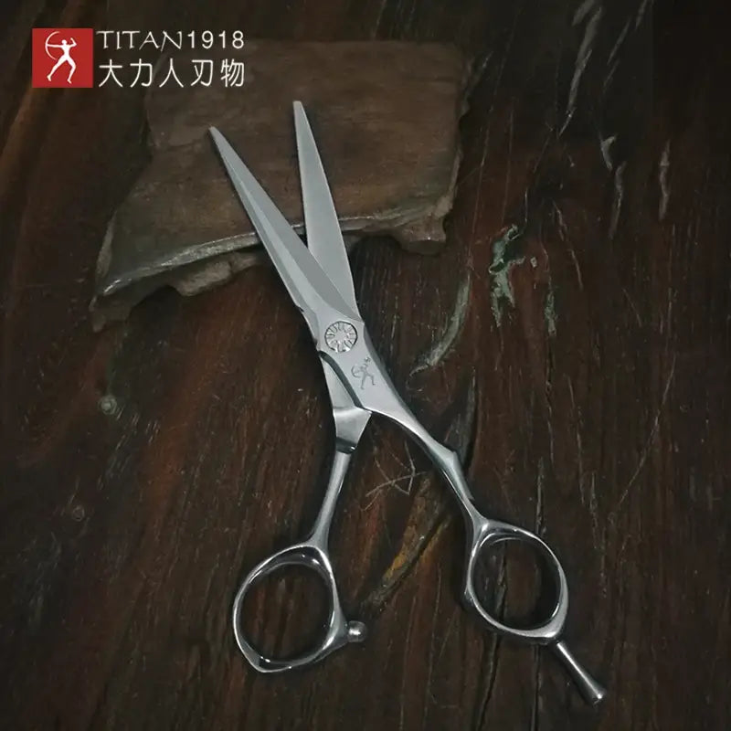 Titan 6.0inch hairdresser scissors cutting salon barber tool japan vg10 steel