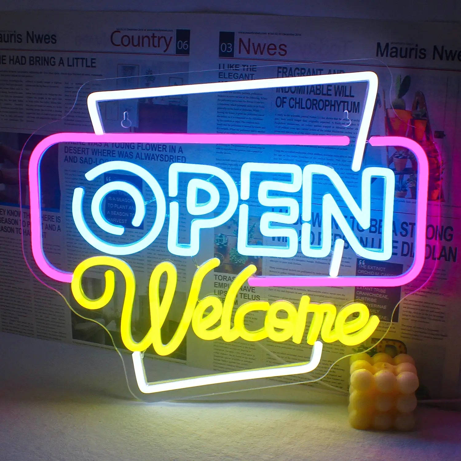 Open Welcome Neon Signs for Wall Decor Neon Light Up Open Sign with USB Powered for Business Bar Shop Salon Hotel Neon